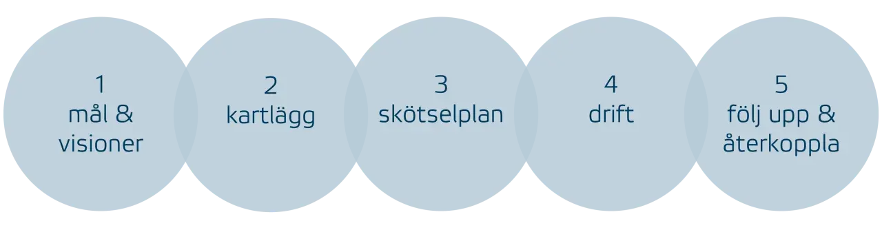 Fem steg för framgång: mål, kartläggning, skötselplan, drift och uppföljning. Korta url för enkel delning.