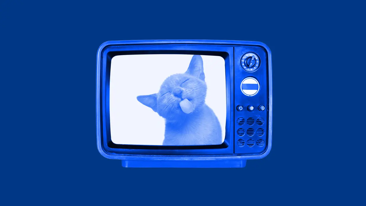 En blå retro-TV visar en kattunge som sticker ut tungan. Perfekt för gratis ikoner och roliga bilder.