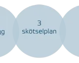 Fem steg för framgång: mål, kartläggning, skötselplan, drift och uppföljning. Korta url för enkel delning.