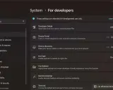 Windows-inställningar för utvecklare. Aktivera "End Task" för att snabbt tvångsavsluta program.