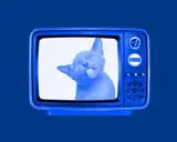 En blå retro-TV visar en kattunge som sticker ut tungan. Perfekt för gratis ikoner och roliga bilder.