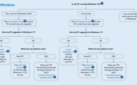 Flödesschema för Windows 10 support. Hjälper dig avgöra om din dator kan uppgraderas till Windows 11 eller vilka alternativ som finns.