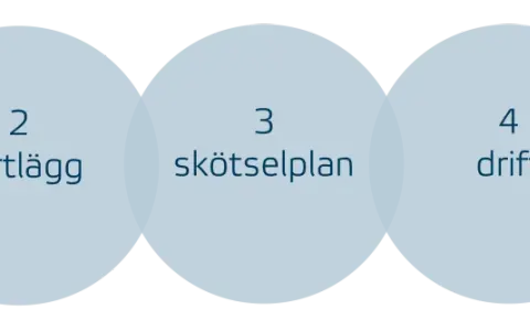 Fem steg för framgång: mål, kartläggning, skötselplan, drift och uppföljning. Korta url för enkel delning.