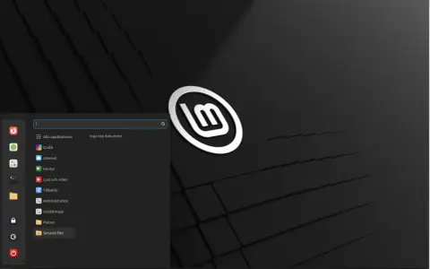 Linux Mint svenska med en meny för applikationer, grafik, internet och mer.