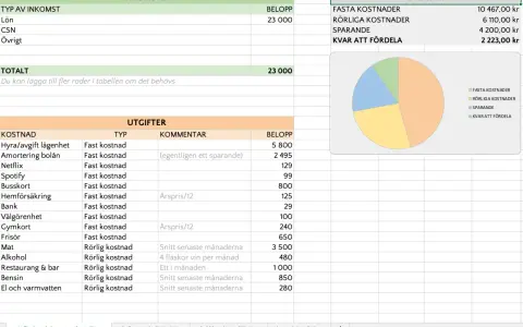 Excel-budgetmall visar inkomster, utgifter och en översikt med en cirkeldiagram. En bra excel budgetmall hjälper till att hålla koll på ekonomin.