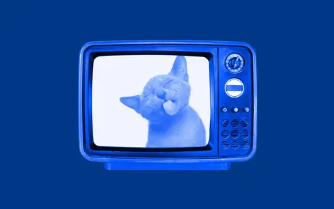 En blå retro-TV visar en kattunge som sticker ut tungan. Perfekt för gratis ikoner och roliga bilder.
