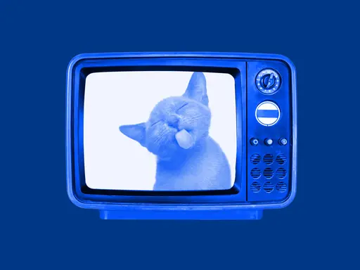 En blå retro-TV visar en kattunge som sticker ut tungan. Perfekt för gratis ikoner och roliga bilder.