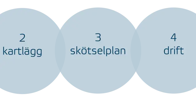 Fem steg för framgång: mål, kartläggning, skötselplan, drift och uppföljning. Korta url för enkel delning.